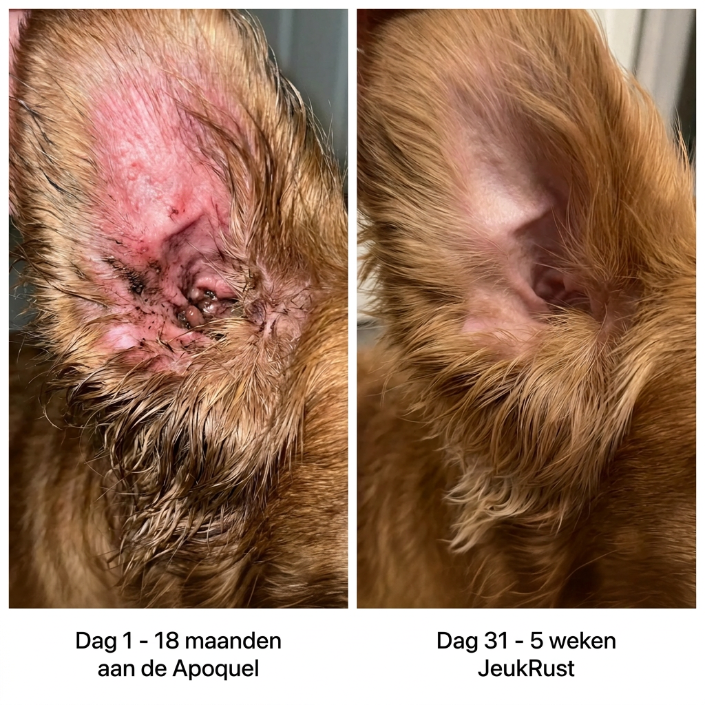 JeukRust vloeibaar collageen voor honden