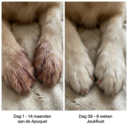 JeukRust vloeibaar collageen voor honden