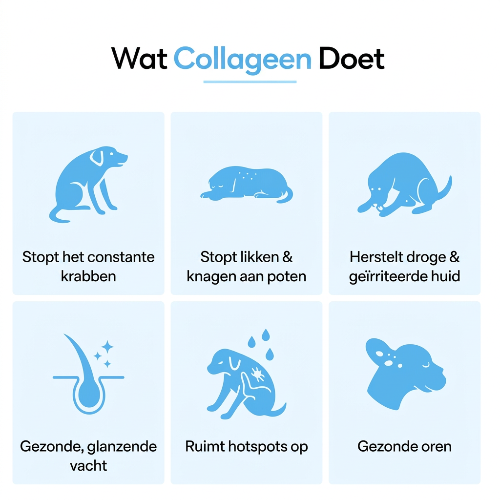 JeukRust vloeibaar collageen voor honden