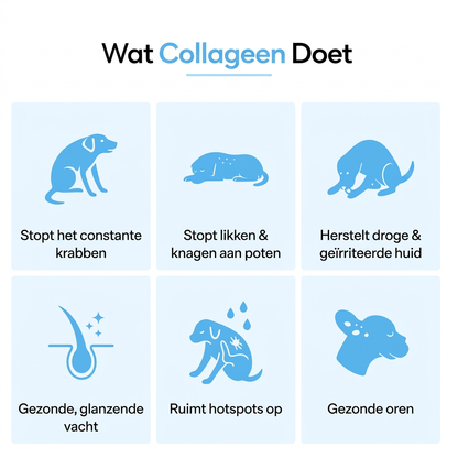JeukRust vloeibaar collageen voor honden