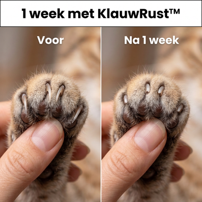 KlauwRust